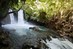 Israel, Golan, Banias Wasserfall, Quellfluss des Jordan