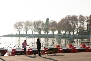 Man and woman walking with dog at lakeside, Lausanne, Canton of Vaud, Switzerland