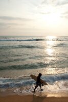 Sri Lanka, Hikkaduwa, Strand, Surfer Indischer Ozean, Abendsonne
