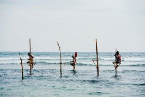 Stilt fishermen in Indian Ocean at Weligma on the south coast of Sri Lanka