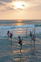 Stilt fishermen in Indian Ocean at Weligma on the south coast of Sri Lanka
