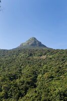 View of green mountain peak of Sri Pada mountain in Sri Lanka