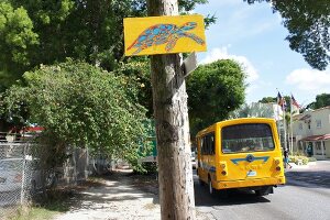 View of street with yellow bus in Lesser Antilles at Caribbean island, Barbados