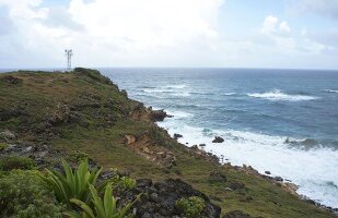 View of Caribbean sea with huge rocks at Lesser Antilles, Caribbean island, Barbados