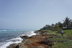 View of Caribbean sea with waves and rocks at Lesser Antilles, Caribbean island, Barbados