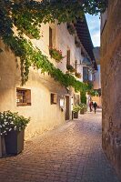View of Ivy berankt on houses and alley in Brixen, South Tyrol, Italy
