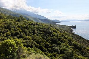 Türkei, Türkische Ägäis, Halbinsel Dilek, Nationalpark, Landschaft