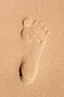 Close-up of footprint of human on Fano beach, Denmark 