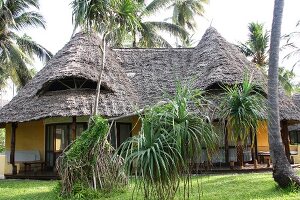 Coconut trees and thatched houses in Zanzibar Island, Tanzania, East Africa