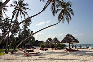 Coconut trees and thatched houses in Zanzibar Island, Tanzania, East Africa