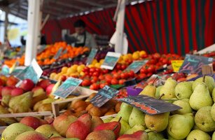 Fruits and vegetables at market stall, Stuttgart Market Hall, Baden-Wurttemberg, Germany