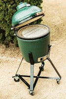 Big green egg grill with cover