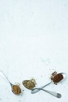 Three spoons of various spice mix powder