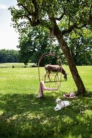 Blick auf Wiese mit Baumschaukel, Hund & Esel