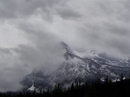 View of Icefield Parkway covered with fog, Banff National Park, Alberta, Canada 