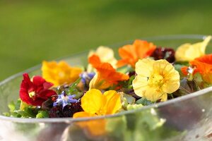 Kräutergarten, Salat aus essbaren Blüten, Kräuterblüten