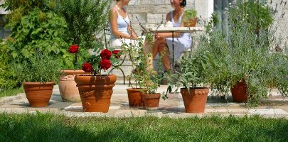Kräutergarten, zwei Frauen sitzen auf der Terrasse