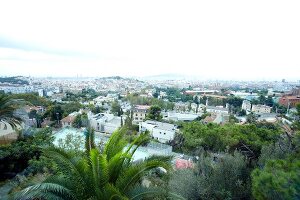 View of cityscape and nature in Barcelona, Spain