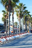 Barcelona, Port Olympic Promenade Fahrradverleih, bicing