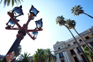 View of palm trees and lantern at Placa Reial in Barcelona, Spain, Low angle view