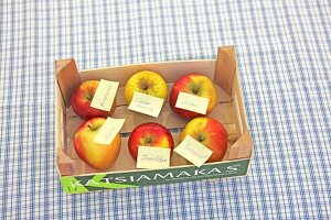 Different varieties of apples with placards in box, overhead view