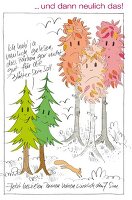 Wald, Herbst, Bäume, Tannen, Blätter Eichhörnchen