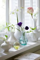 Vasen, Blumen, Fensterbank, Nr.2