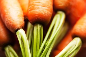 Carrots (close-up)