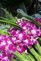 Thailand: Bangkok, frische Blumen, Marktsttand, Blumenmarkt