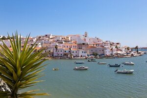Portugal, Algarve, Fischerort Ferragudo