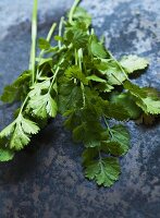 Fresh coriander