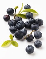 Fresh blueberries