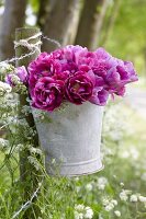 Magic Lavender tulips in a zinc bucket