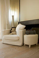 Dog lying on white armchair in the living room