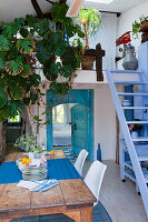 Dining room with monstera, wooden table and blue decor