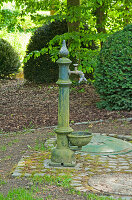 Antique water tap in green surroundings