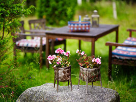 Plants in plant holders on stone in the garden