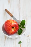 An apple, a sprig of mint and a knife in a bowl