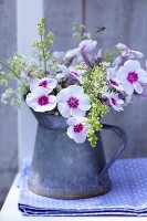 Phlox and bedstraw in small zinc vase