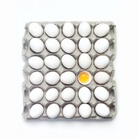 Many Whole White Eggs in a Carton; One Broken Open