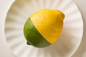 Half Lemon, Half Lime