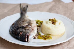 Fried sea bream with parsnip puree