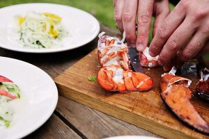 Orange and fennel salad with lobster