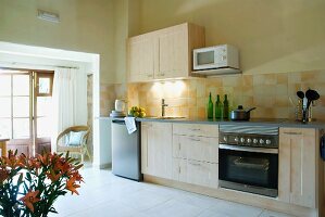 Wide doorway in modern kitchen with simple counter in pale wood