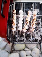 Marshmallow kebabs on the BBQ