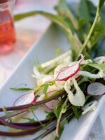 Bitter Green Salad with Fennel and Radishes