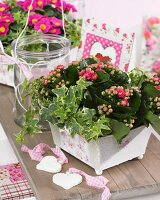 Spring arrangement of pink Kalanchoe in planter