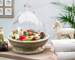 Tulips and tulip bulbs in stone bowl under glass cloche