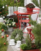 Terrace table and chairs surrounded by Christmas plant arrangements