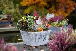 Autumnal arrangement of heather, ornamental chillies, Leucophytha brownii and euonymus in wooden crate on wooden garden table